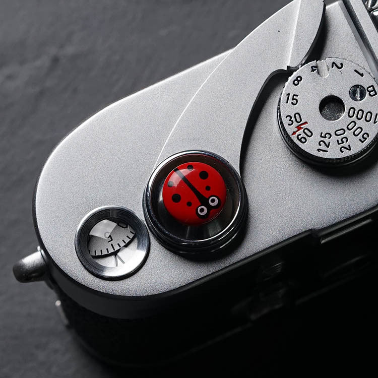 Ladybug shutter button camera shutter button button