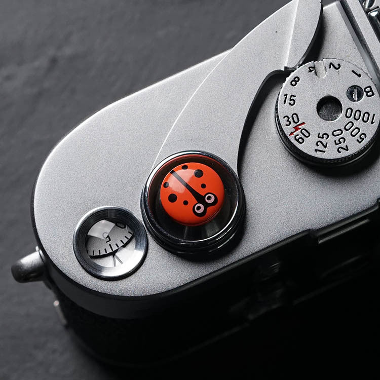 Ladybug shutter button camera shutter button button